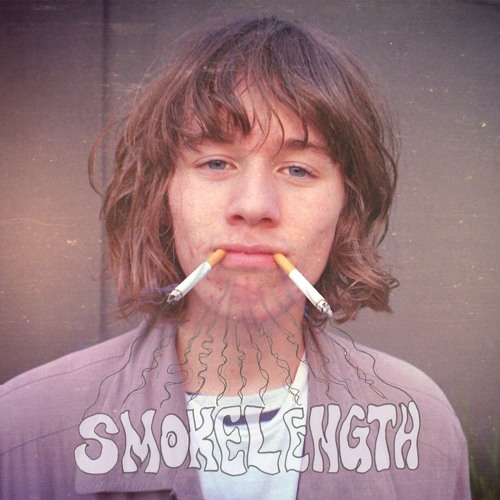 smells cigarette smoke 8 Easy Ways to Get Rid of Cigarette Smoke Smell for Good