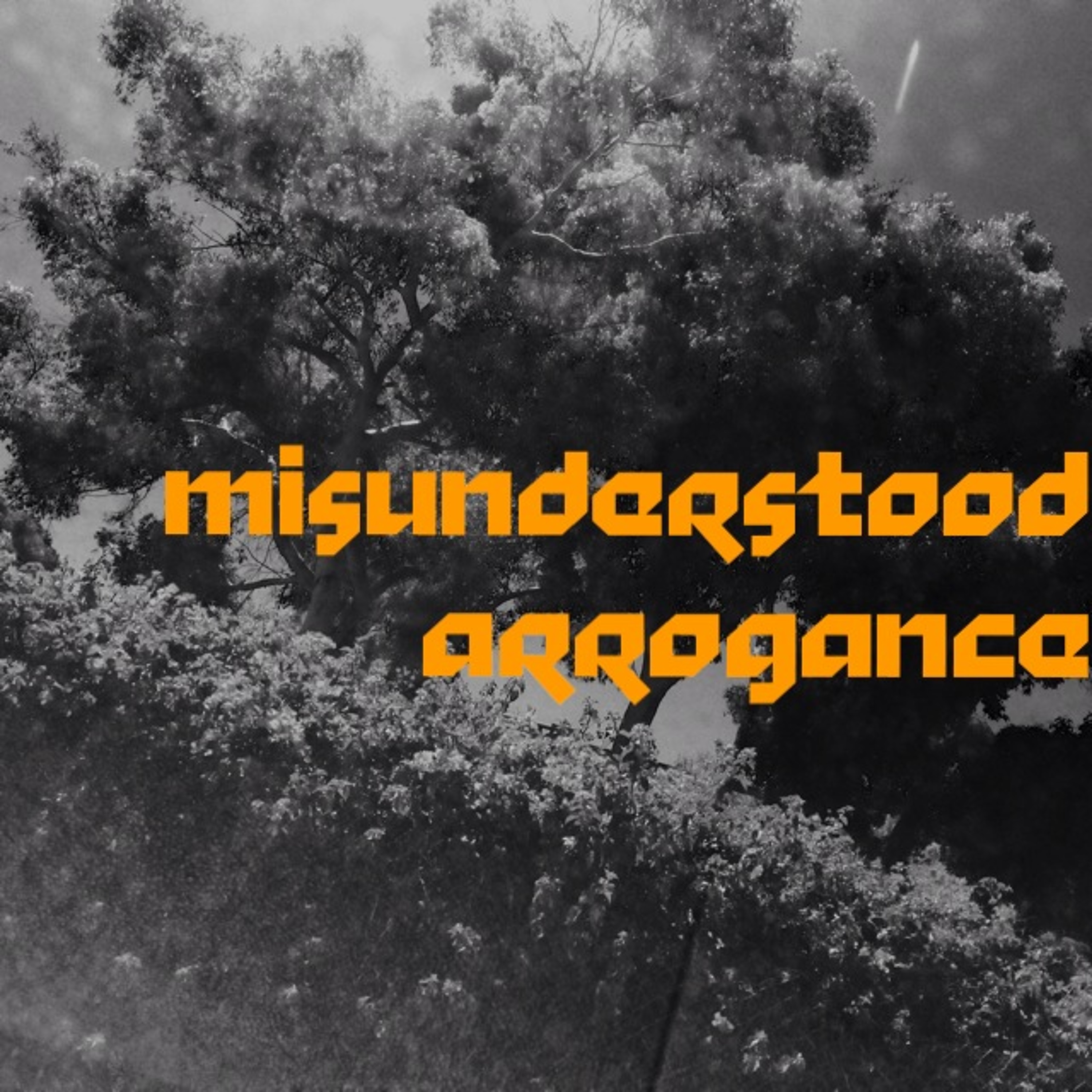 Home-run - Misunderstood Arrogance episode artwork