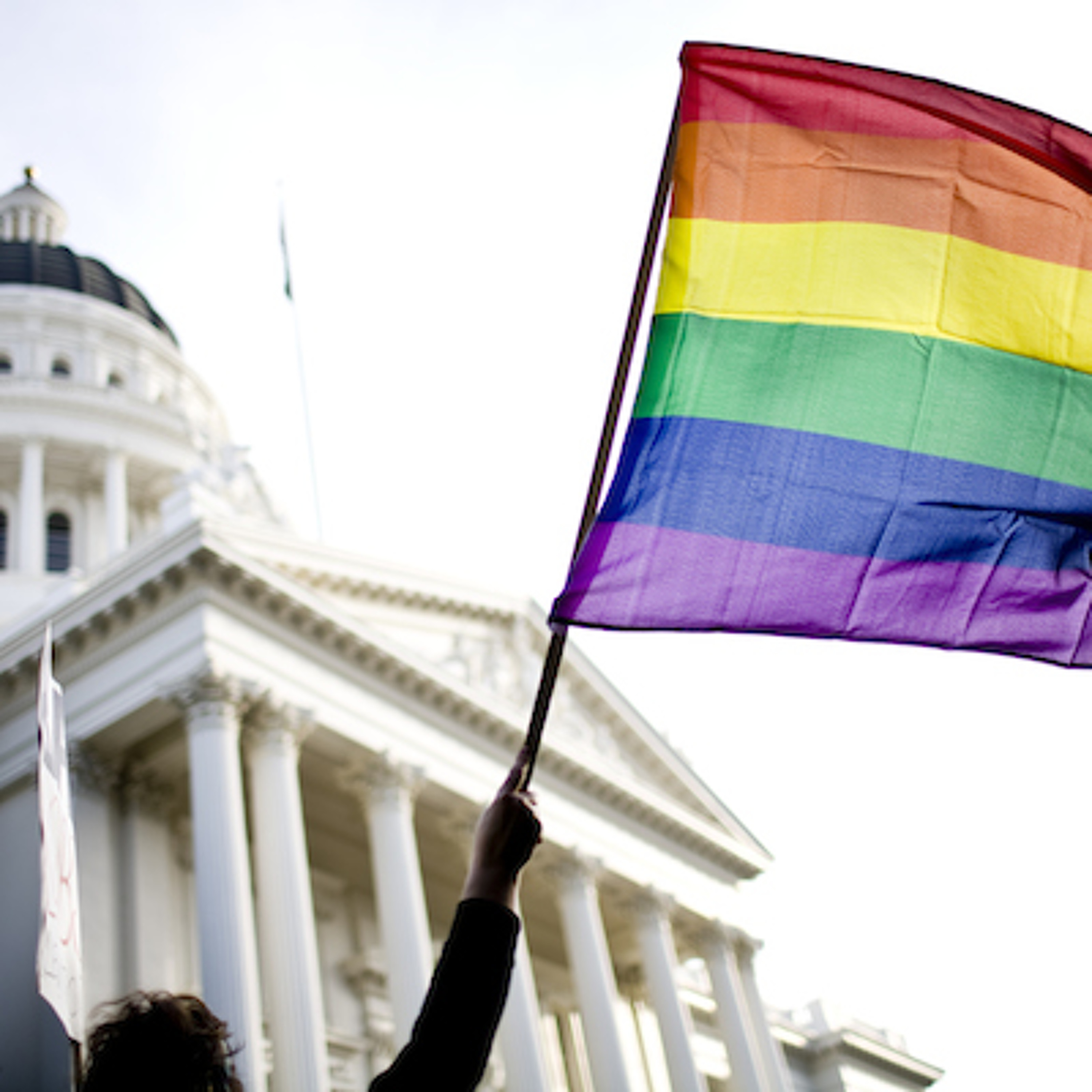 The Michelle Meow Show