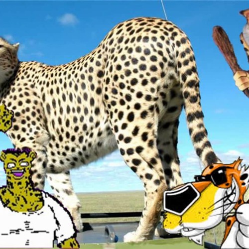 Too Much Cheetah In The Men