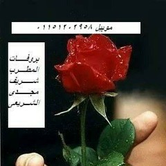 شفت بعيني ... المطرب/ شريف مجدي نور الشريعي بتاريخ ٢٠١٥/٦/٢٥