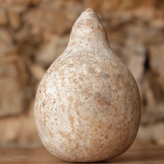 Mestre Gajé_Viagem Pelo Mundo