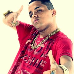 MC DUDU DO MGH - AO VIVO NA NOVA HOLANDA ♪