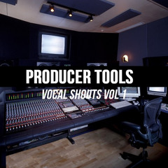 2Be Crazy Presents Producer Tools Vocal Shouts Vol 1 DEMO