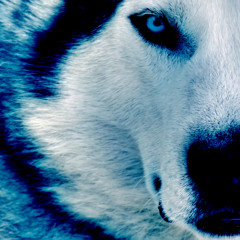 Stay See Summer Deep House Mix 2015