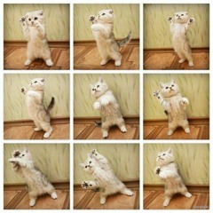 cover first love - utada hikaru