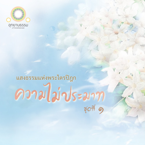 My Image 24