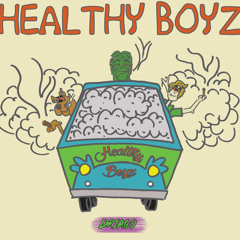 HEALTHYBOYZ MIX