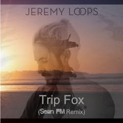Jeremy Loops - Trip Fox (Sean PM Remix)