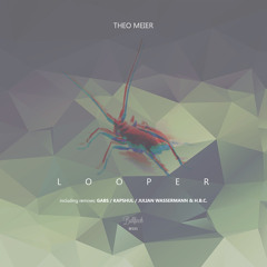 Looper (Theo Meier Reshape)