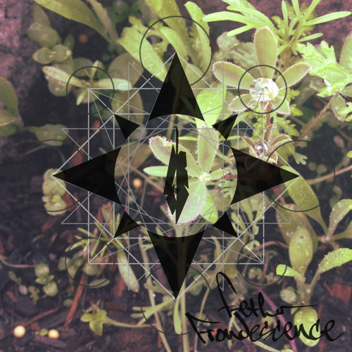 Devil's Plumajillo