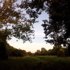 Small Nature