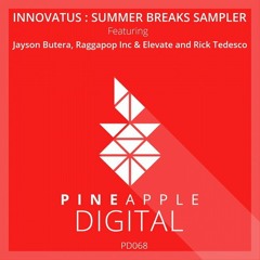 Raggapop Inc & Elevate - Time Machine (Original Mix) [Pineapple Digital] CUT