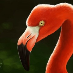 Christian Porzio - Flamingo (Original Mix)