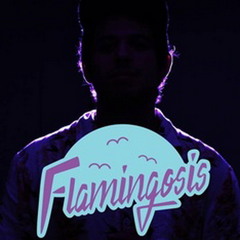 Flamingosis. Selected Tracks