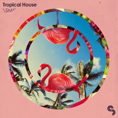 SM67 - Tropical House - Main Demo