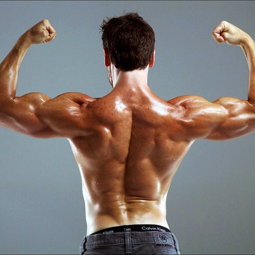 What's the best workout split? by Muscle for Life | Free Listening on