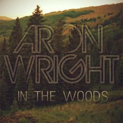 Aron Wright - In The Woods (remix)