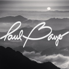 Paul Bayer - Recent Work