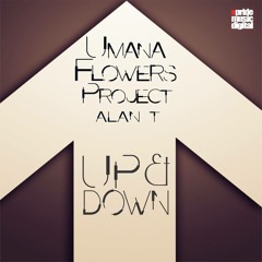 Umana Flowers Project Feat Alan T - Up & Down