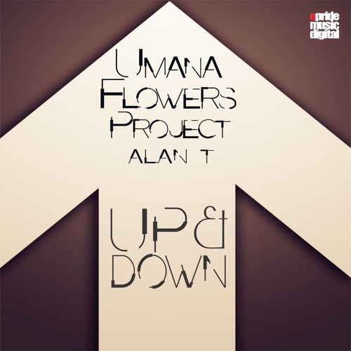 Umana Flowers Project Feat Alan T - Up & Down