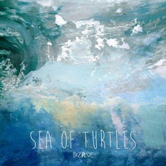 Sea Of Turtles