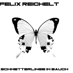 Felix Reichelt - Schmetterlinge Im Bauch (Original Mix)[Ilisho Records]