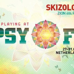 Skizologic Live @ Psy-Fi Festival 2015