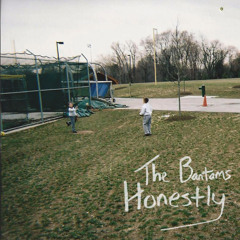 Honestly - The Bantams