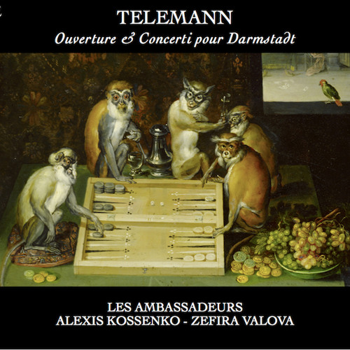 TELEMANN - Flute concerto in D major (2nd movement)