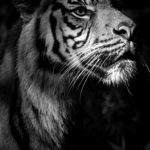 Jel Ford - Meeting Of Minds (Original Mix) [DRUMCODE]