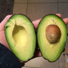 Floating/Surviving DEMO