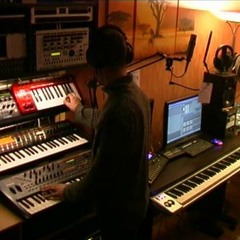 Distant Woodland Live