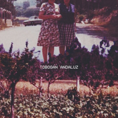 Las Naves Espaciales - Tobogán Andaluz (Cover)