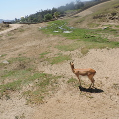 Maaakus - Demons (Feat. JCookies)