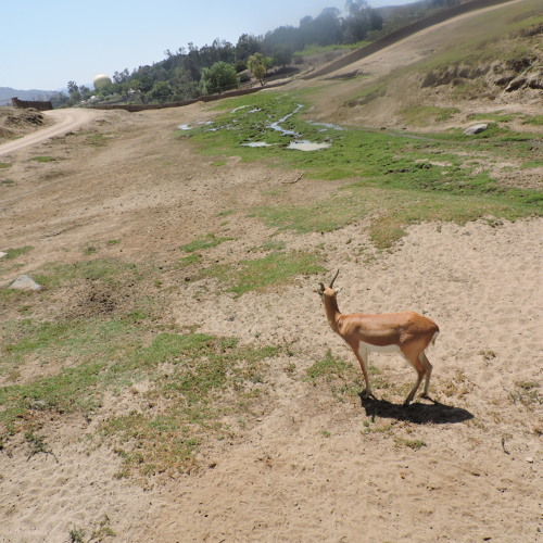 Maaakus - Demons (Feat. JCookies)