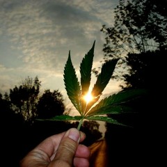 La Banda Mas Gandalla - By - Rever - Play - Records.mp3