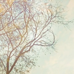 Do You Want To Know A Secret (Beatles Cover)