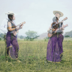 Plantita De Aleli - Ampersan (En Vivo en Fonoteca Nacional)