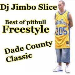 THE BEST OF PITBULL EXCLUSIVE FREESTYLE