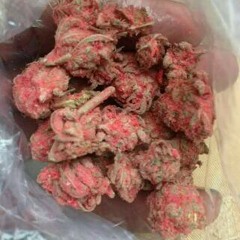 High Time$ Freestyle Ft Y$T