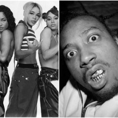 TLC - Creep Vs. Ol' Dirty Bastard - Shimmy Shimmy Ya