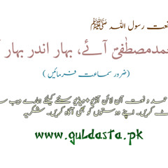 Muhammad Mustafa Ay Bahar Andar Bahar Ai