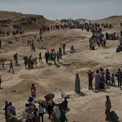 Refugee