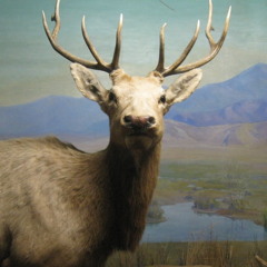 そーめんラジオ ～somen autumn illusion～ 9/5/15