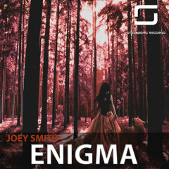 JOEY SMITH - Enigma (Original Mix) [Steinberg Records]