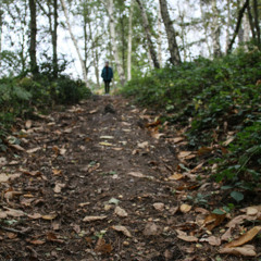 Purify (Old Version)