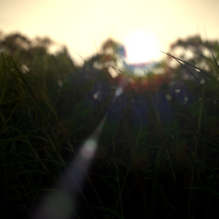 1 - Dedalum (pathways Part 1)