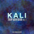 Artwork for Kali - Trip Advisor Vol. 1 *Free Download Mix*