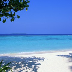 BEAT POP BY CHRIS JOYS